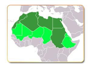 عبد الرحمن الناصر وشمال أفريقيا